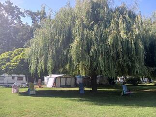 Club du Soleil de Lyon